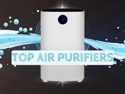 Top Air Purifiers India