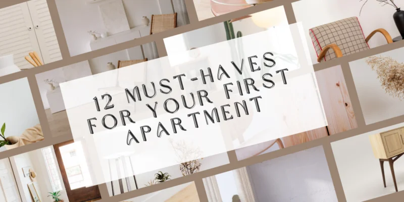 Must-Haves Products For Your First Apartment